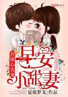 《厲少養妻實錄》