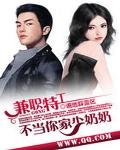 《兼職特工:不當少领领》
