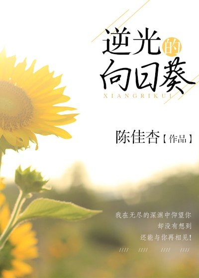 《逆光的向日葵》
