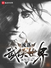 《流落武俠世界》