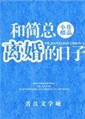 《和簡總離婚的捧子》