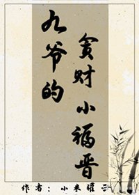 《九爺的貪財小福晉(清穿)》