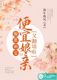 腹黑萌寶：便宜孃親又翻牆啦