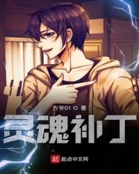 《靈魂補丁》