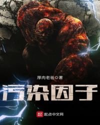 《污染因子》