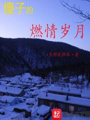 《傻子的燃情歲月》