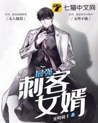 《最強刺客女婿》