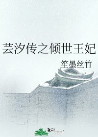 《(綜同人)芸汐傳之傾世王妃》
