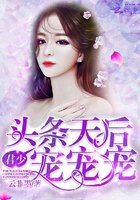 《頭條天后:君少,寵寵寵!》