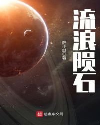 《流浪隕石》