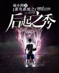《菜鳥系統之後起之秀》