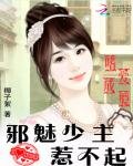 《嗜愛成癮:邪魅少主惹不起》