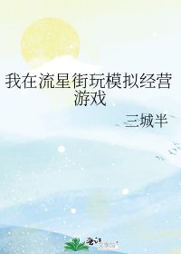 《(火影同人)我在流星街玩模擬經營遊戲》