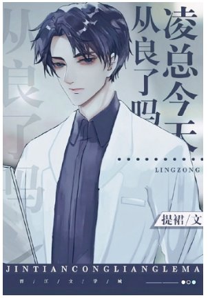 《凌總今天從良了嗎》