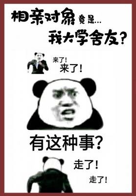 《相親對象竟是我大學舍友abo》