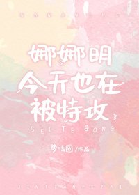 《(BG/綜漫同人)娜娜明今天也在被特攻》