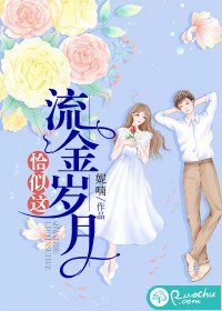 《恰似這流金歲月》