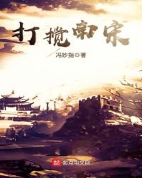 打攪南宋