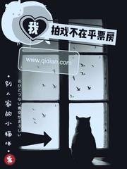 《我拍戲不在乎票房》