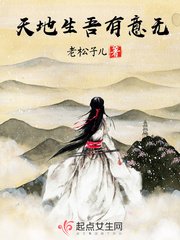 《天地生吾有意無》