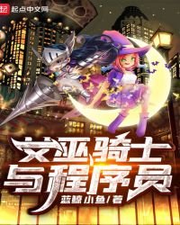 《女巫騎士與程序員》