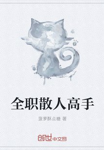 《全職散人高手》