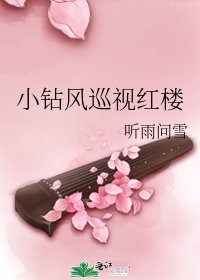 《(BG/紅樓夢同人)小鑽風巡視紅樓》