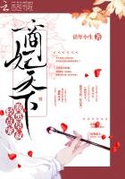 《商妃天下:腹黑皇叔,輕點寵》