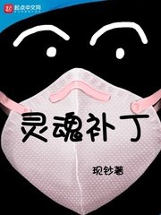 《靈魂補丁》