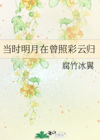 《當時明月在曾照彩雲歸》