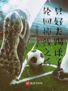 《輪迴掉線之後只好去踢球了》