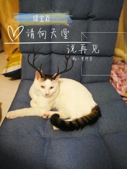 《綠寶石請向天堂説再見》