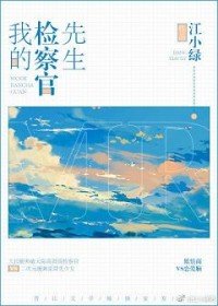 《我的檢察官先生》