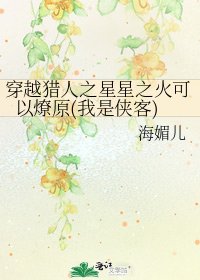 《穿越獵人之星星之火可以燎原(我是俠客)》