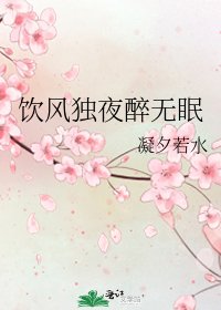飲風獨夜醉無眠