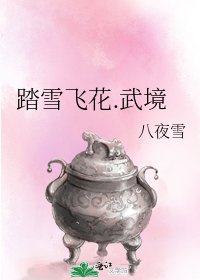 《踏雪飛花.武境》