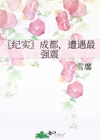 《〖紀實〗成都,遭遇最強震》