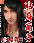 《貼身高手》