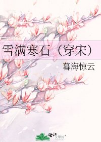 《雪滿寒石(穿宋)》