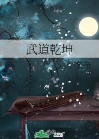 《武道乾坤》
