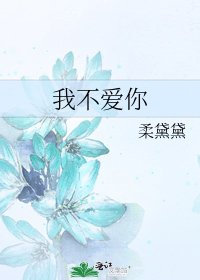 《我不愛你》