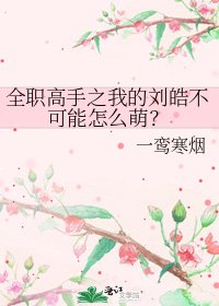 全職高手之我的劉皓不可能怎麼萌？