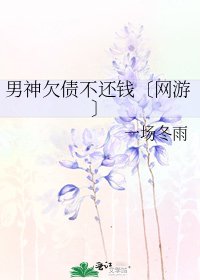 《男神欠債不還錢〔網遊〕》