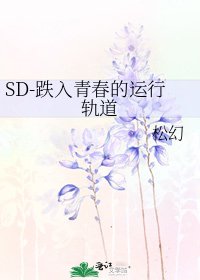 《SD-跌入青春的運行軌道》