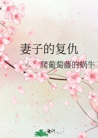 《妻子的復仇》