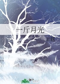 《一斤月光》