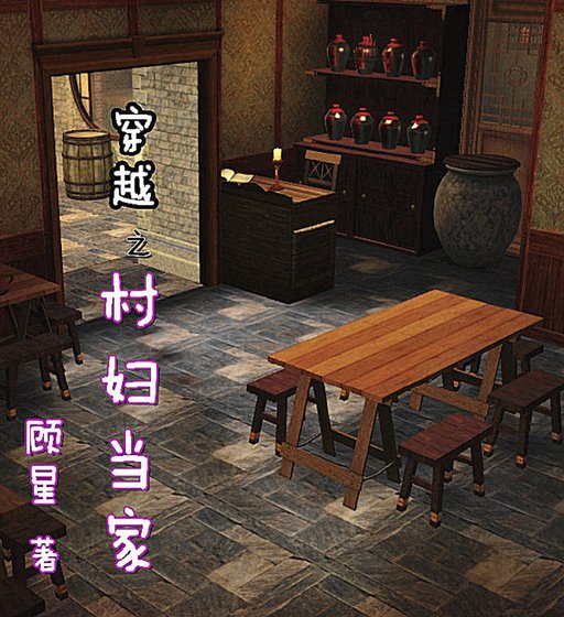 穿越之村婦當家