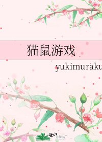 《貓鼠遊戲》
