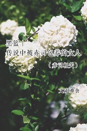 《(BG/黑藍同人)傳説中被赤司包 養的女人(赤司相關)》