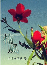 《捕風》
